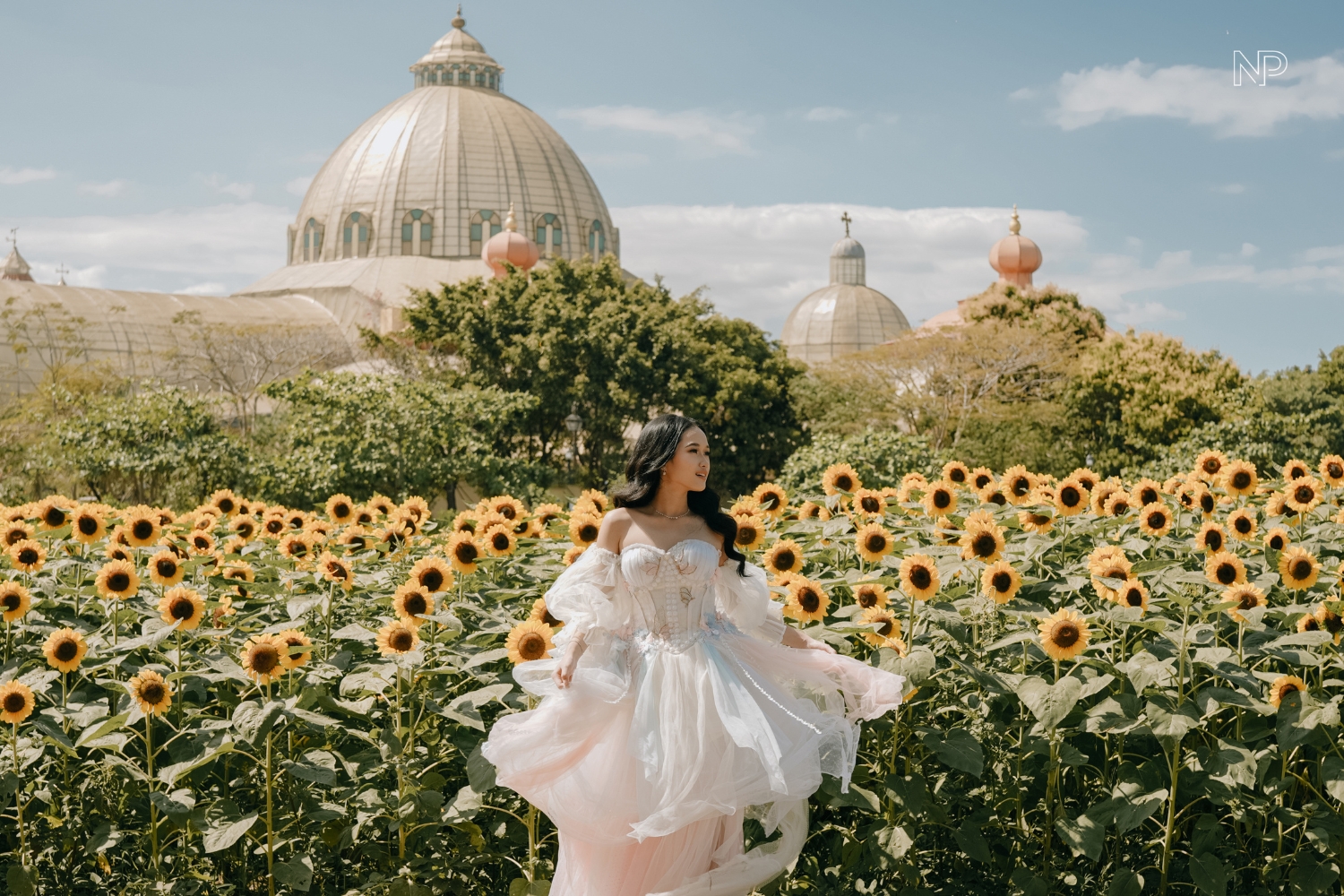 Debutante in Sunflower Garden