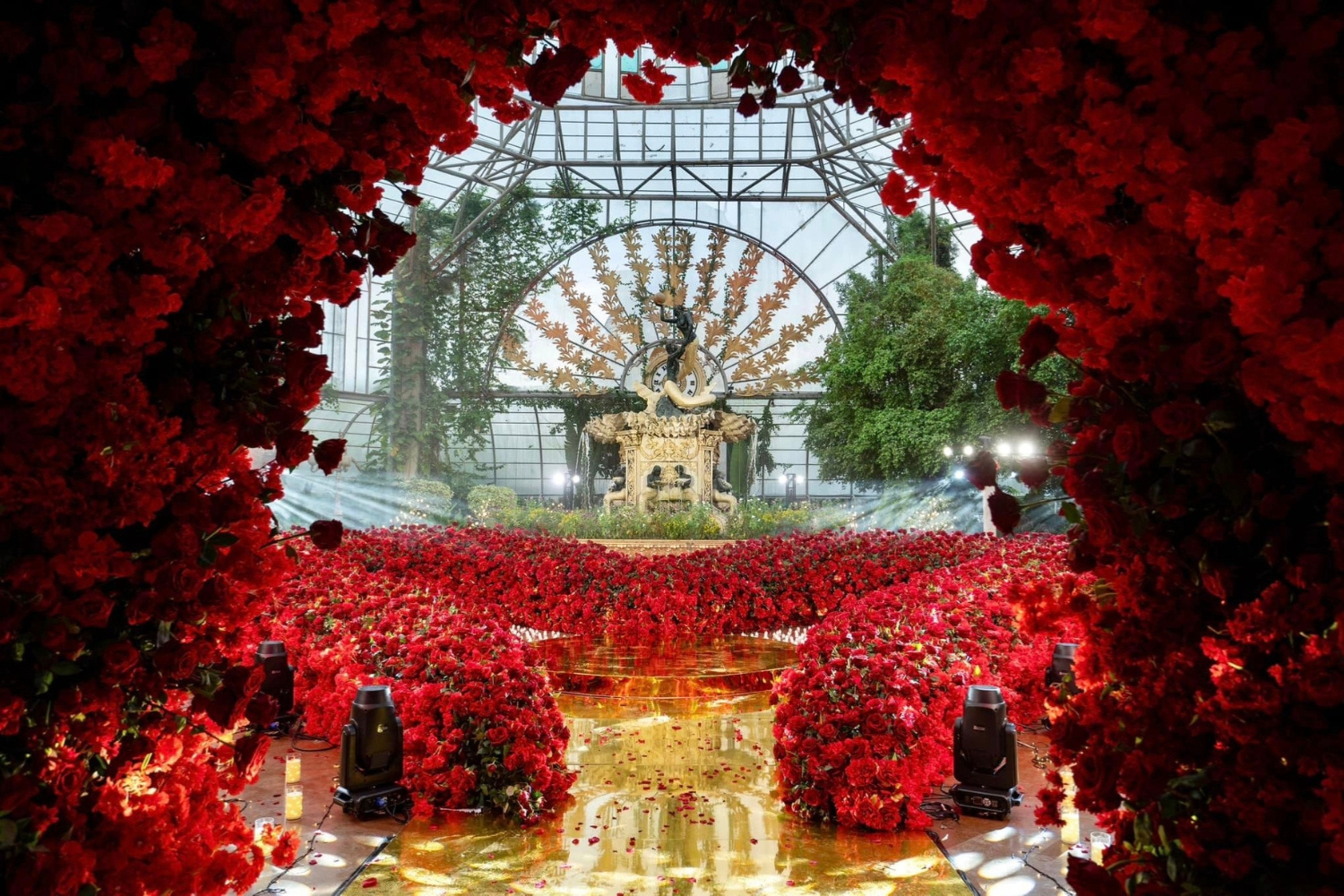 Start Your Forever in January