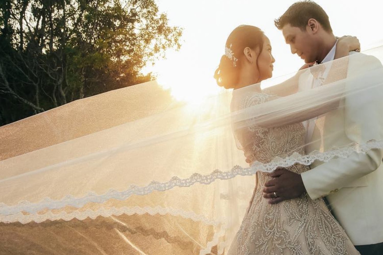 Plan your dream wedding